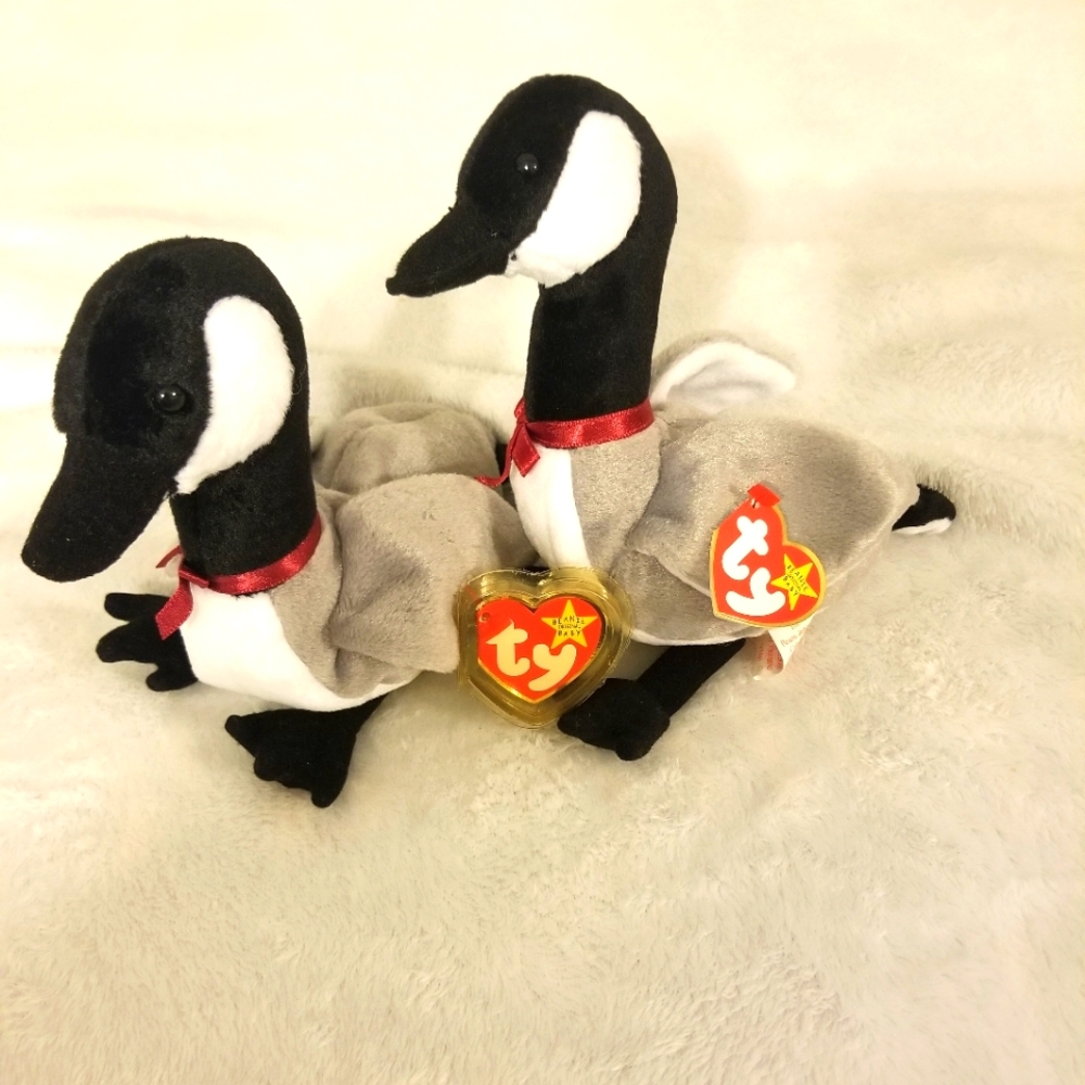 Original ty beanie Baby birds Loosy